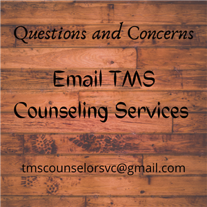 TMS Counseling Email 